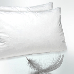 2 Pack: 250 Thread Count Feather Fill Pillow