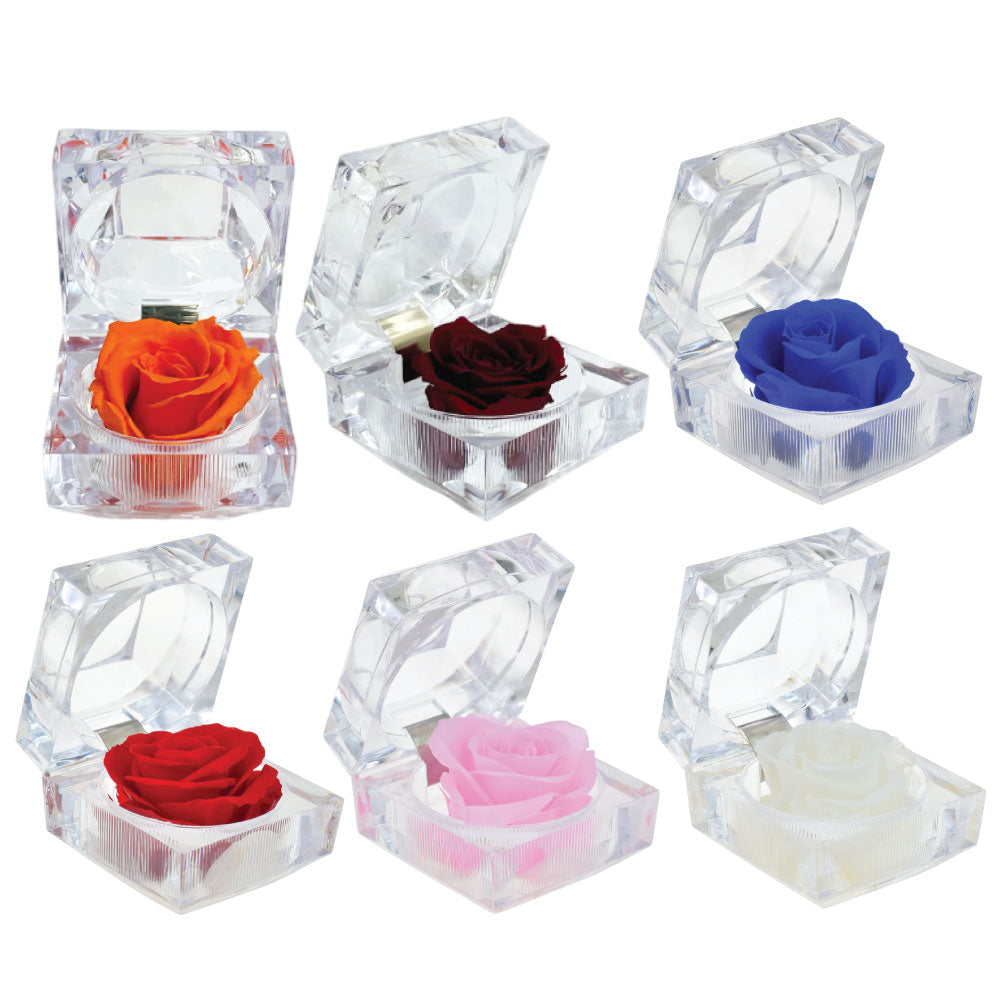 2PC PRESERVED ROSES WITH NATURAL FRAGRANCE IN RING CASE