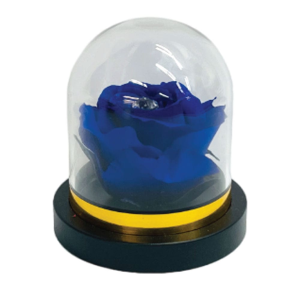 PRESERVED ROSES IN A MINI ROSE DOME DIAMOND INSIDE