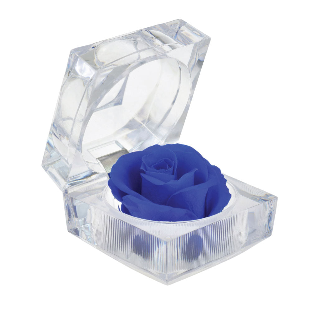 2PC PRESERVED ROSES WITH NATURAL FRAGRANCE IN RING CASE