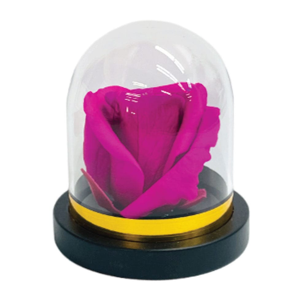 PRESERVED ROSES IN A MINI ROSE DOME DIAMOND INSIDE