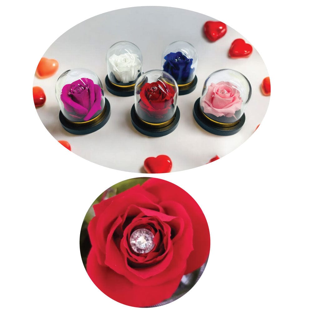 PRESERVED ROSES IN A MINI ROSE DOME DIAMOND INSIDE
