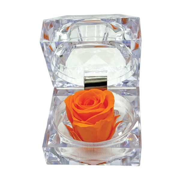 2PC PRESERVED ROSES WITH NATURAL FRAGRANCE IN RING CASE