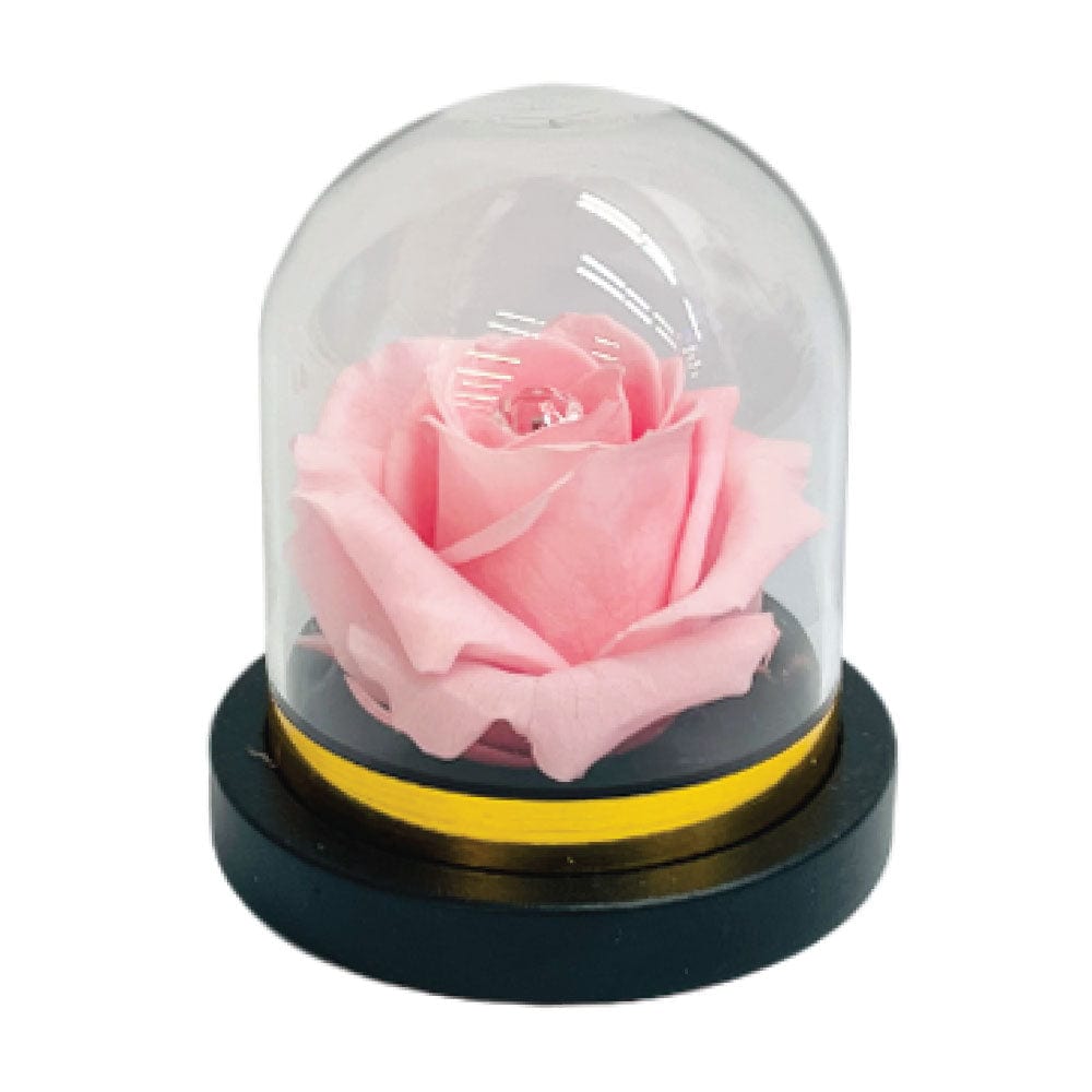 PRESERVED ROSES IN A MINI ROSE DOME DIAMOND INSIDE