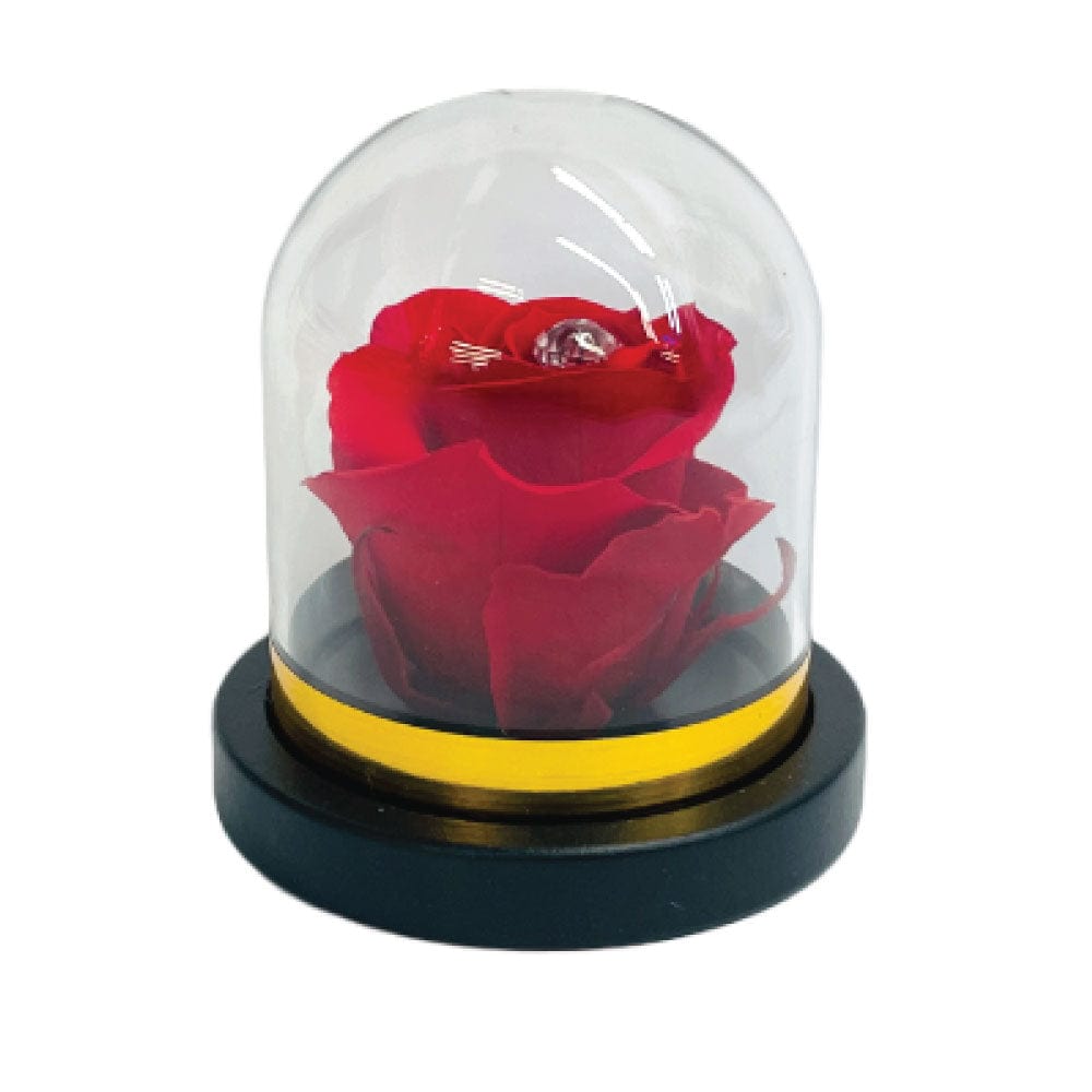 PRESERVED ROSES IN A MINI ROSE DOME DIAMOND INSIDE