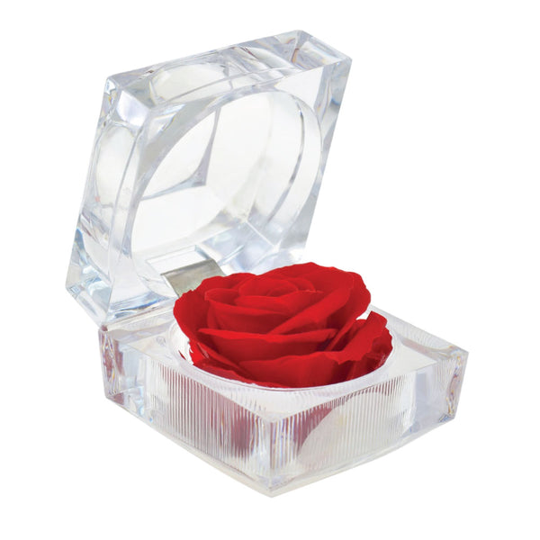 2PC PRESERVED ROSES WITH NATURAL FRAGRANCE IN RING CASE