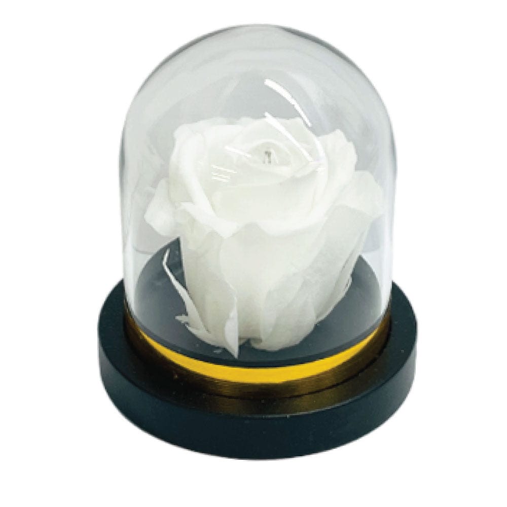 PRESERVED ROSES IN A MINI ROSE DOME DIAMOND INSIDE