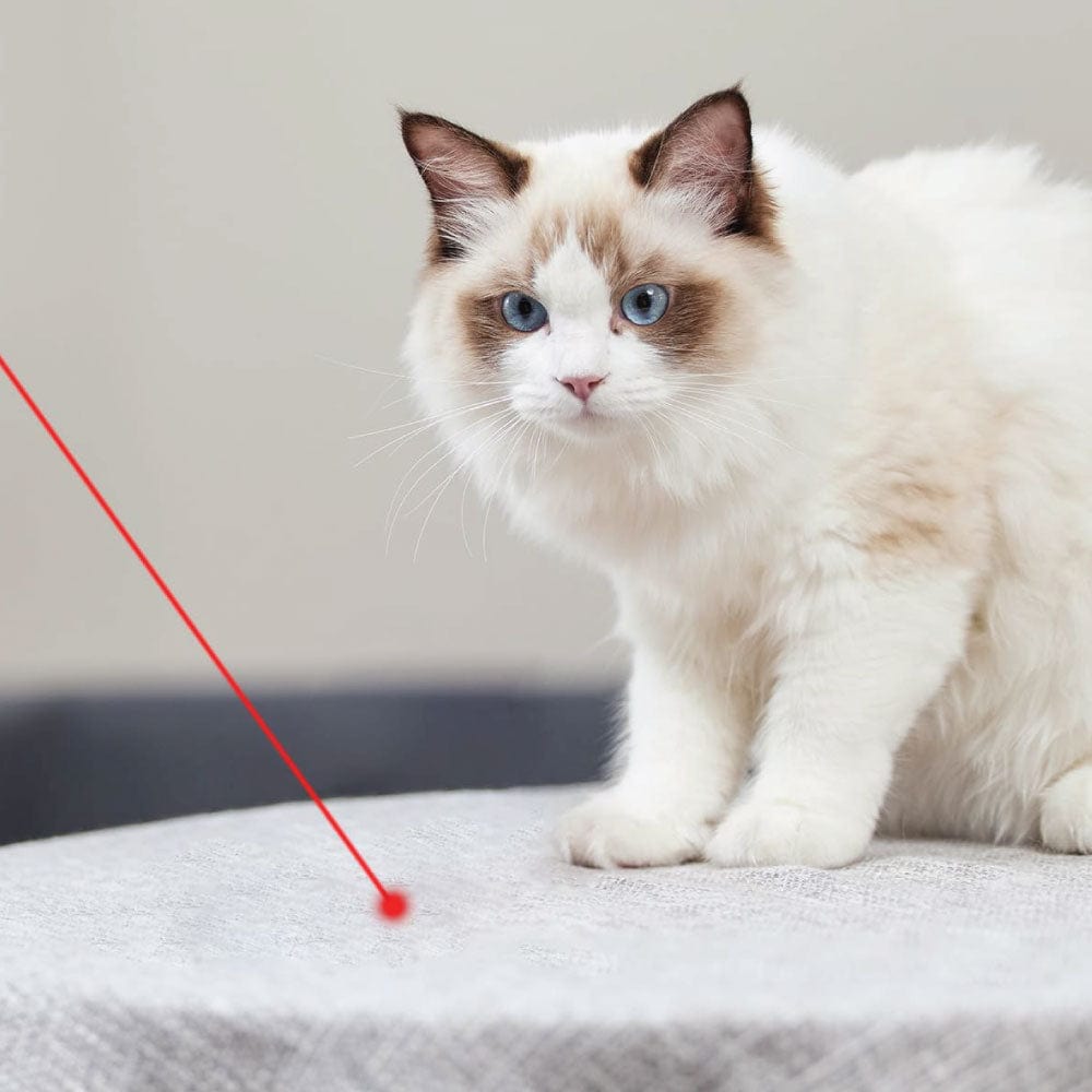 Deals Club 3Pack Laser Pet Toy for Cats and Dogs, Interactive Light with 3 Batteries Included, Indoor Exercise and Play