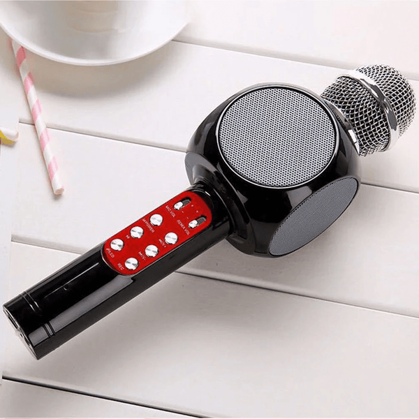 2-In-1 Wireless Microphone & Hifi Speaker
