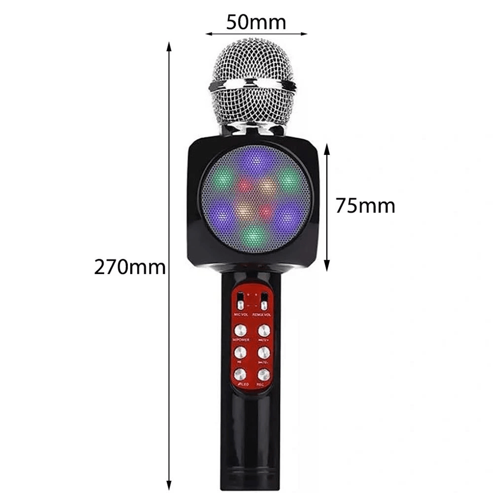 2-In-1 Wireless Microphone & Hifi Speaker