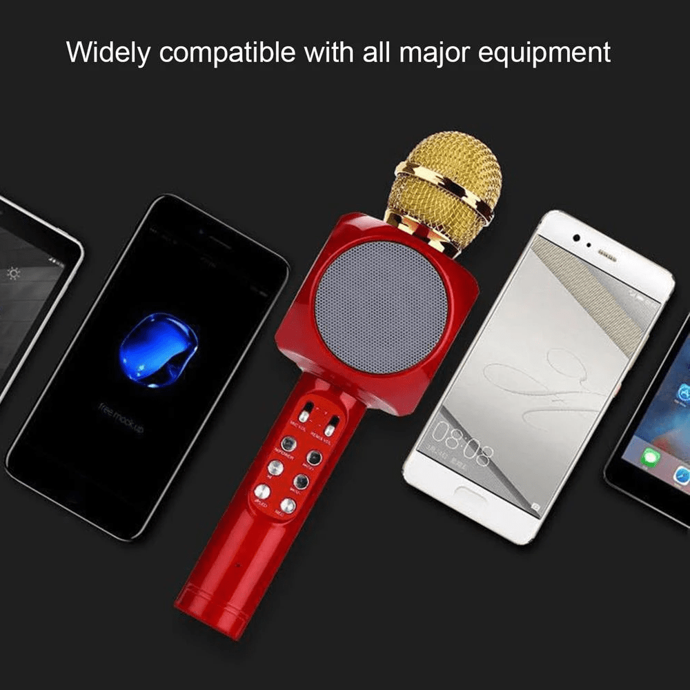 2-In-1 Wireless Microphone & Hifi Speaker