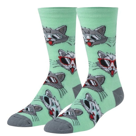 Crazy Socks - Cool Cats Women's Crew Folded