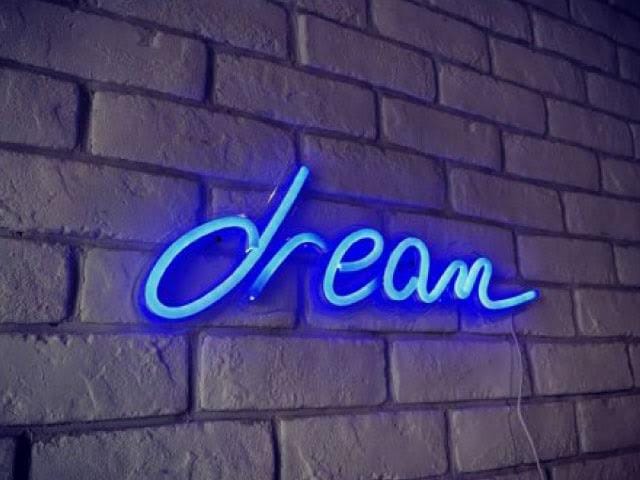 DREAM Super Bright LED Neon Light Sign