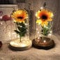 Sunflower LED Light In Glass Dome