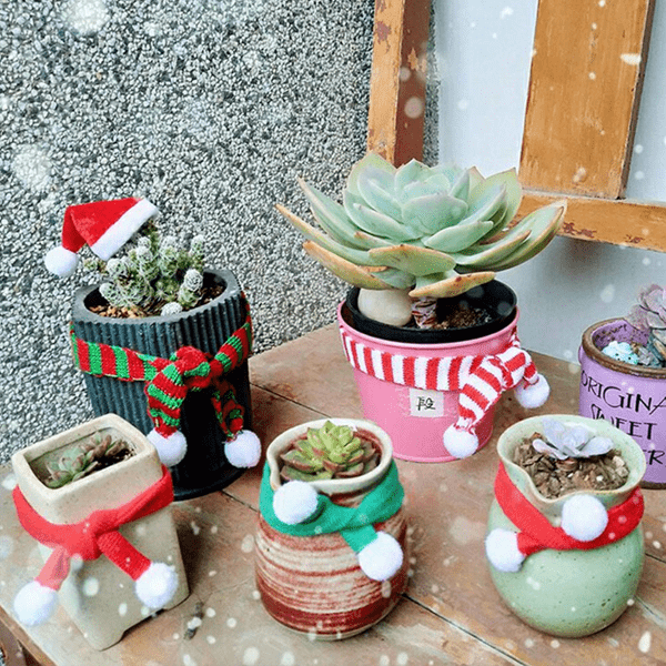 Holiday Bottle Wrap