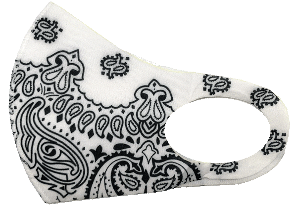 3 Pack: Spandex Paisley Fashion Mask