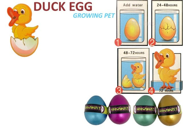 Hatch'Em Egg - Duck -Growing Pet - Assorted Colors