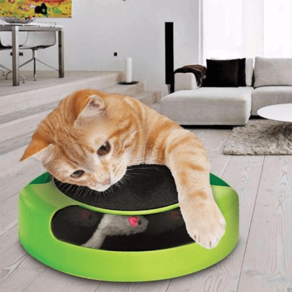 Catch-the-Mouse Motion Cat Toy