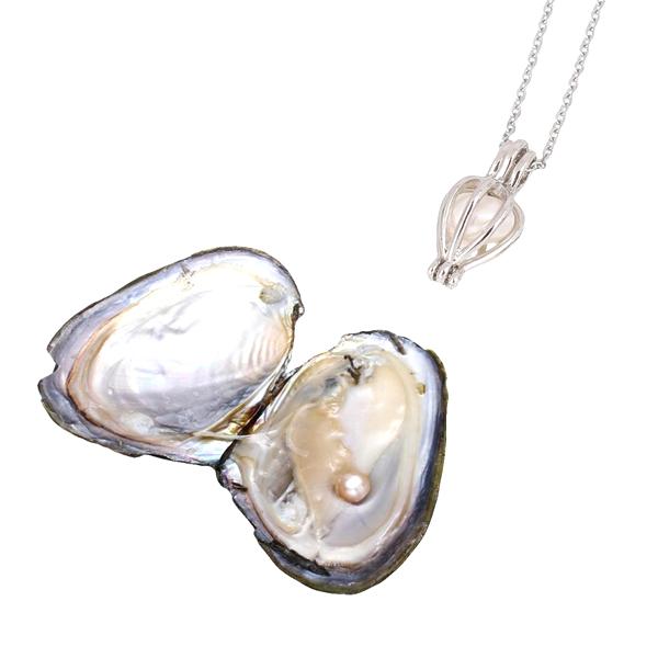 Love pearl oyster shop
