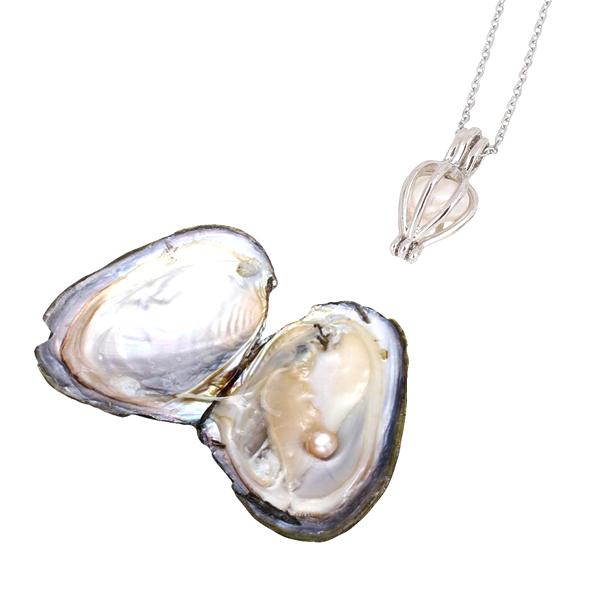 Jewelry - Luxury Wish Pearl In Oyster Necklace Gift Set
