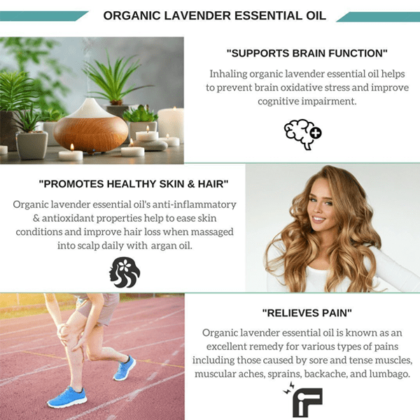 Lavender Fragrance Oil with Relaxing Effect - Available in 10ml, 30ml or 50ml