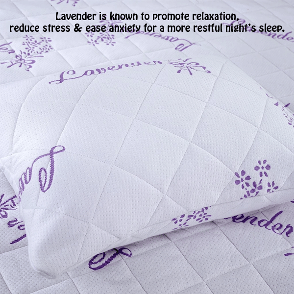 2 Pack Lavender Infused Bamboo Pillow
