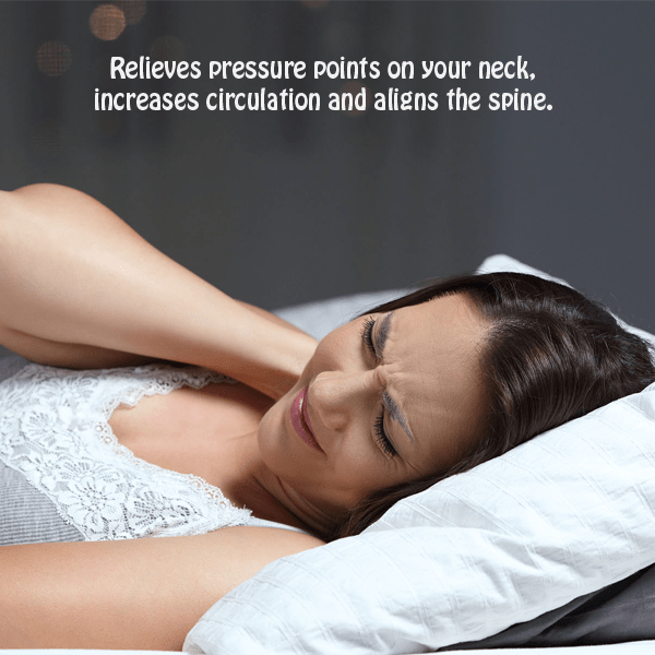 2 Pack Lavender Infused Bamboo Pillow