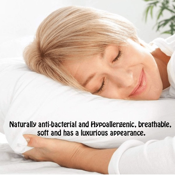 2 Pack Lavender Infused Bamboo Pillow