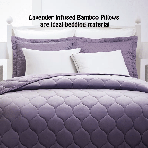 2 Pack Lavender Infused Bamboo Pillow