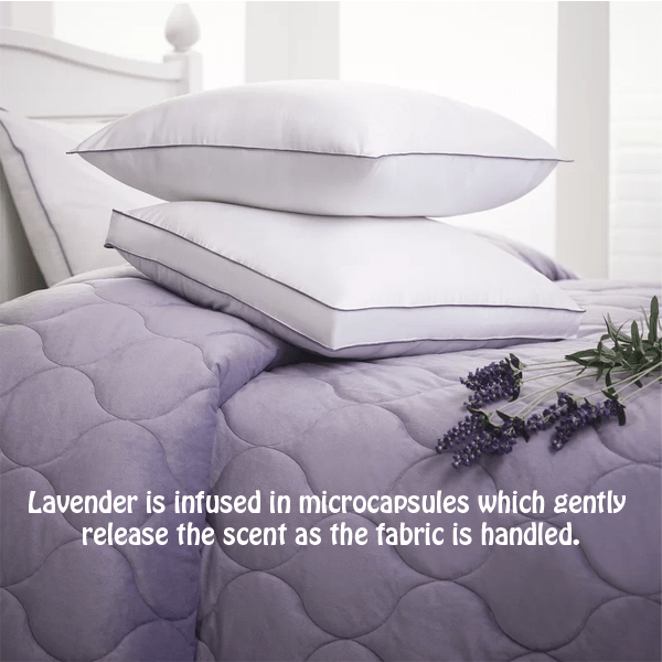 2 Pack Lavender Infused Bamboo Pillow