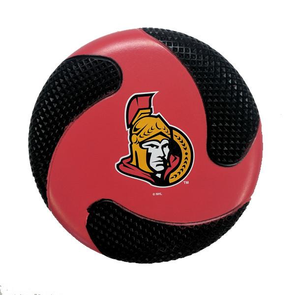NHL - NHL Officially Licensed Foam Flyer Disc - Assorted Teams
