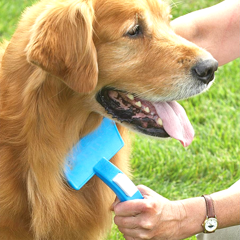 2 Pack: Wet & Dry Pet Grooming Brush