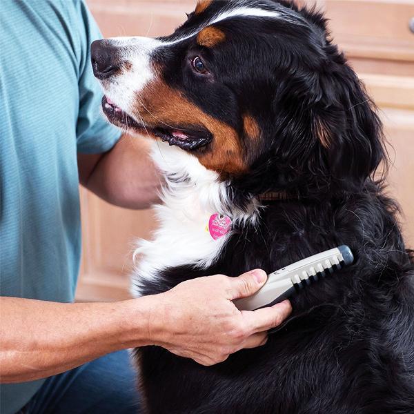 Pets - Knot Out Electric Pet Grooming Comb