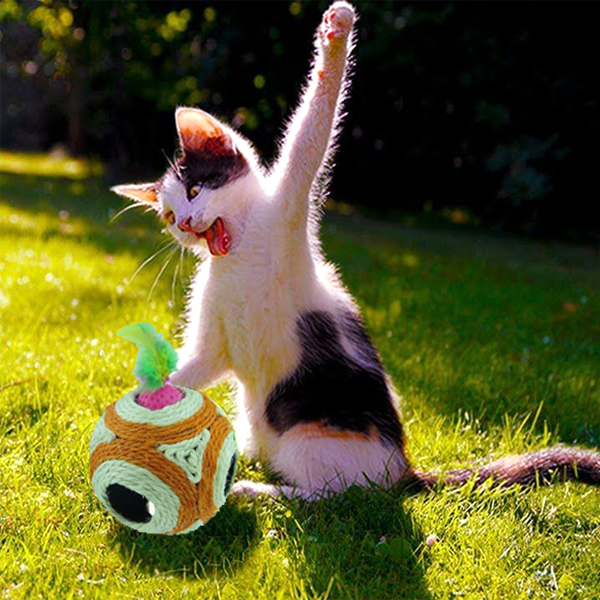 2 Pack: Cat Toy Feather Sisal Scratcher Rattle Balls