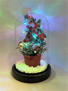 Christmas Tree With LED Lights in Glass Dome